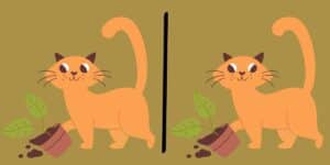 Spot the difference challenge: quick-eyed cat connoisseurs needed! Find all 3 subtle changes in under 10 seconds - meow you see it!