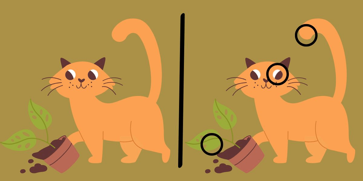 Spot the difference challenge: quick-eyed cat connoisseurs needed! Find all 3 subtle changes in under 10 seconds - meow you see it!