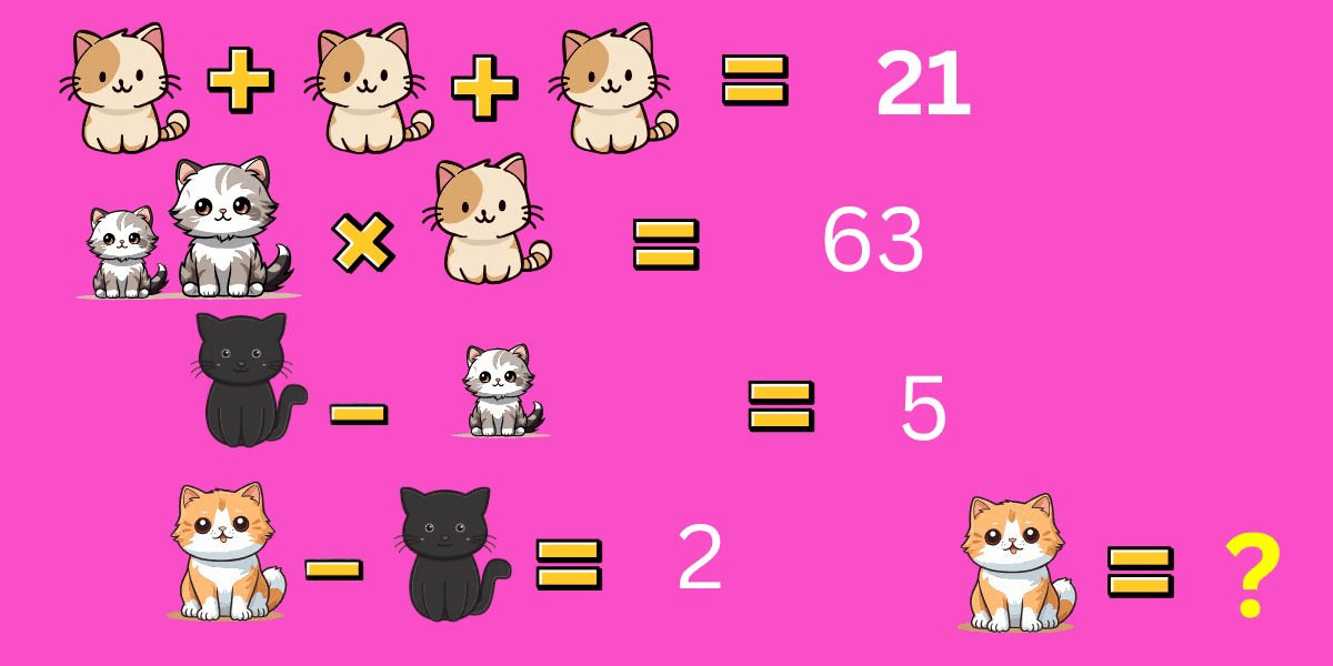 Beat the clock and prove your IQ with today's crack the code challenge: solve the feline cipher in 9 seconds or less!