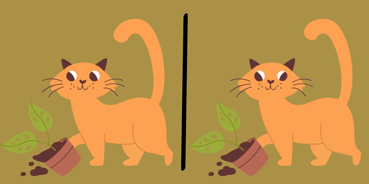 Spot the difference challenge: quick-eyed cat connoisseurs needed! Find all 3 subtle changes in under 10 seconds - meow you see it!