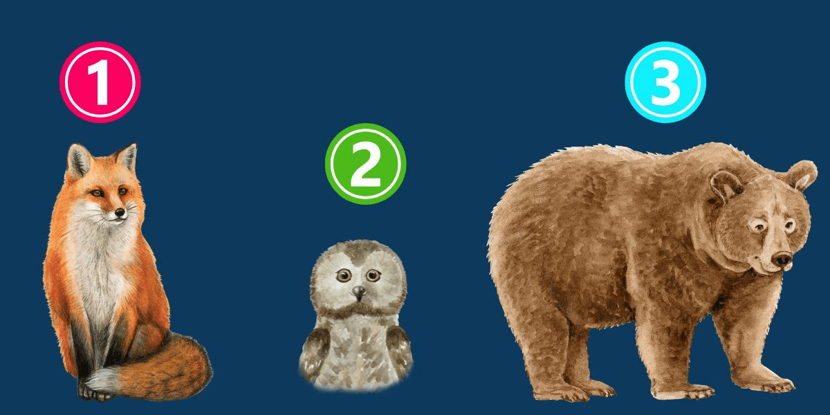 Which animal do you relate to? A fun, insightful personality test based on your choice of furry friend