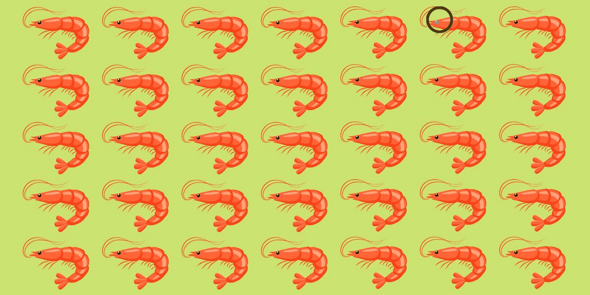 Only 7% can triumph! - dive into the 'find the odd one out challenge' and spot the unique shrimp in under 5 seconds!