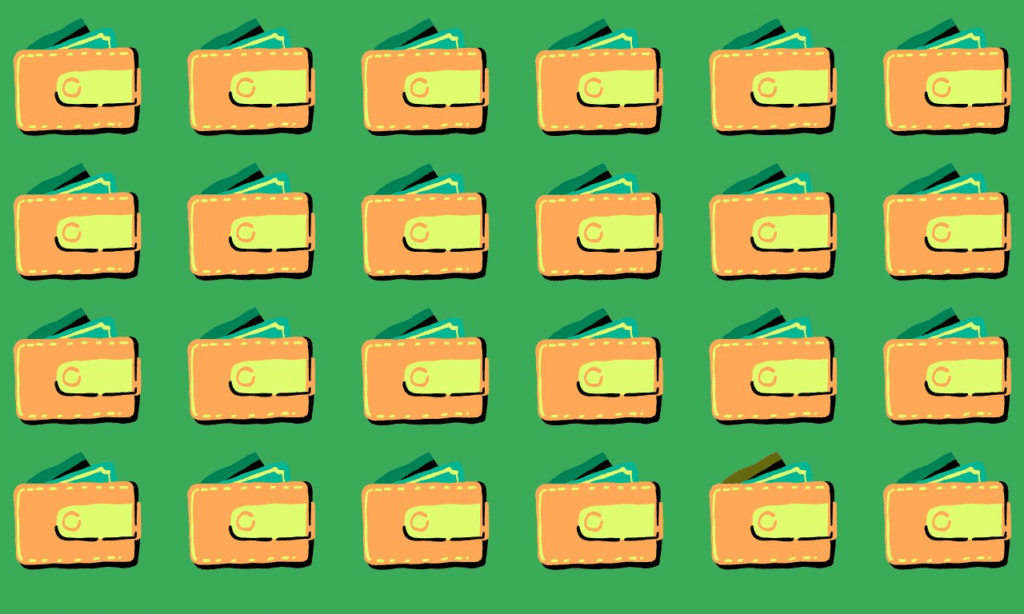 Only 3% can triumph: find the odd one out challenge in under 9 seconds - can you spot the unique wallet before time runs out?