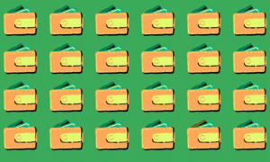 Only 3% can triumph: find the odd one out challenge in under 9 seconds - can you spot the unique wallet before time runs out?
