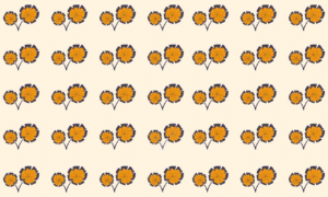 Only 4% can triumph in the 'find the odd one out' challenge: spot the unique flower in under 7 seconds - can you?