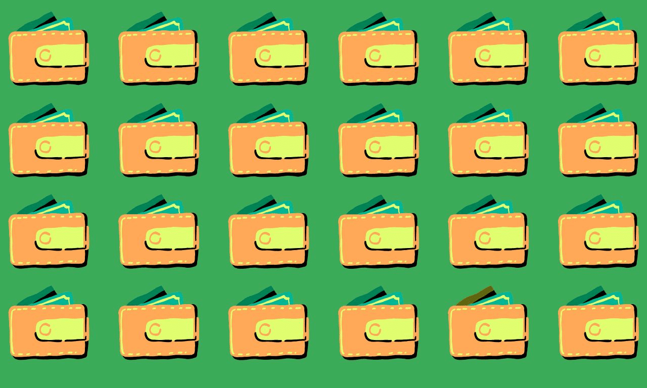 Only 3% can triumph: find the odd one out challenge in under 9 seconds - can you spot the unique wallet before time runs out?