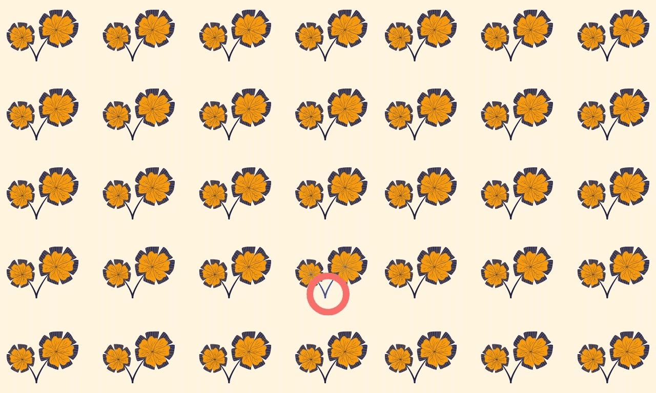 Only 4% can triumph in the 'find the odd one out' challenge: spot the unique flower in under 7 seconds - can you?
